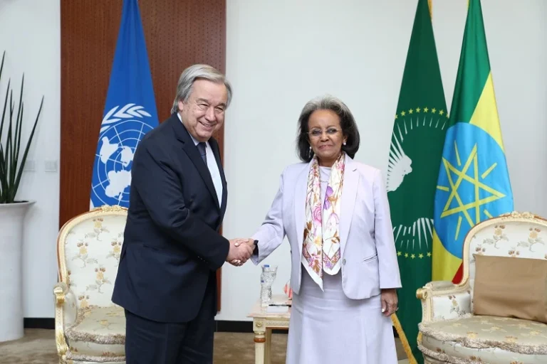ፕሬዚዳንት ሣህለወርቅ ዘውዴ በተባበሩት መንግሥታት ድርጅት (ተመድ)