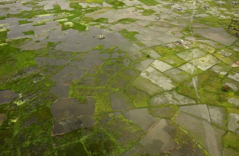 A potential "super" El Niño could cost African economies up to $20 Billion and trigger mass migration, warns the African Development Bank