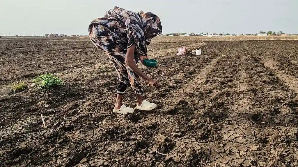 UN Warns Funding Gap in Horn of Africa as El Nino Risk Rises